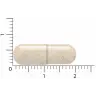Een beige capsule Vitakruid - Ashwagandha KSM-66® & Bioperine® (60 veganistische capsules) wordt horizontaal naast een liniaal met centimeters geplaatst, waarbij de afmetingen iets groter zijn dan 2 centimeter. miniatuur