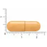 Een grote, beige capsule uit het flesje Vitakruid - Curcuma C3-2X (60 veganistische capsules) wordt naast een liniaal gelegd die de schaal aangeeft en ongeveer 2 centimeter meet. miniatuur